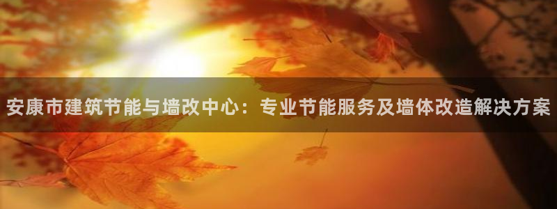 e尊国际是干什么的：安康市建筑节能与墙改中心：专业节能服务及墙体改造解决方案